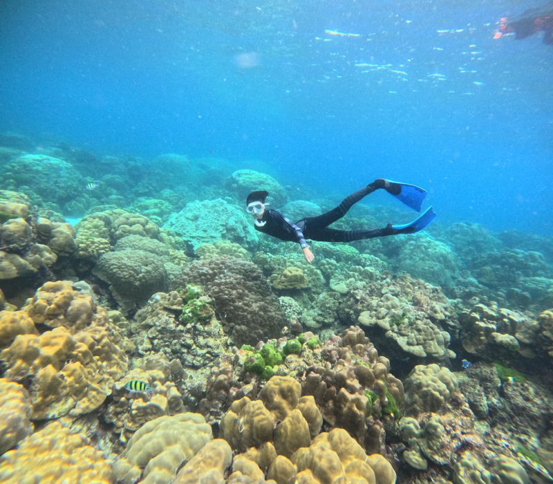 ฟรีไดฟ์เกาะรอก