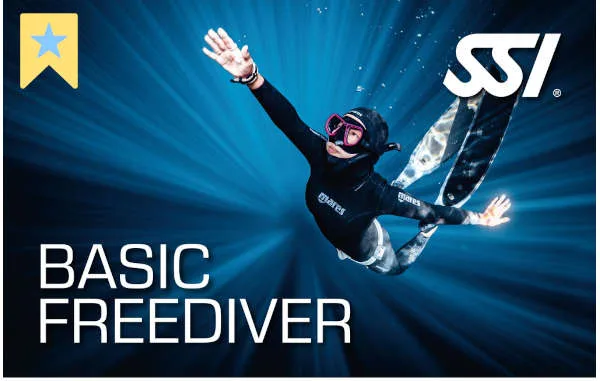 เรียนฟรีไดฟ์ ขั้นพื้นฐาน Basic Freediving