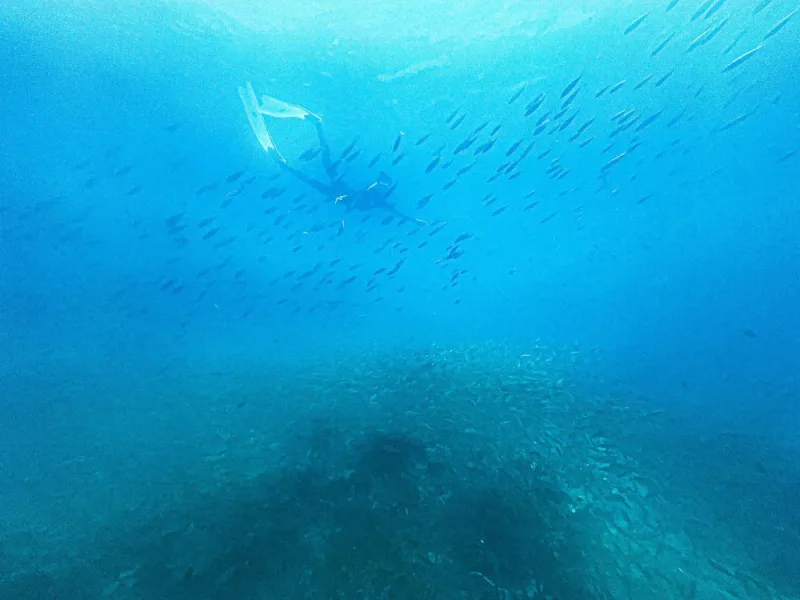 ถ่า่ยกับฝูงปลา หินบิดะ