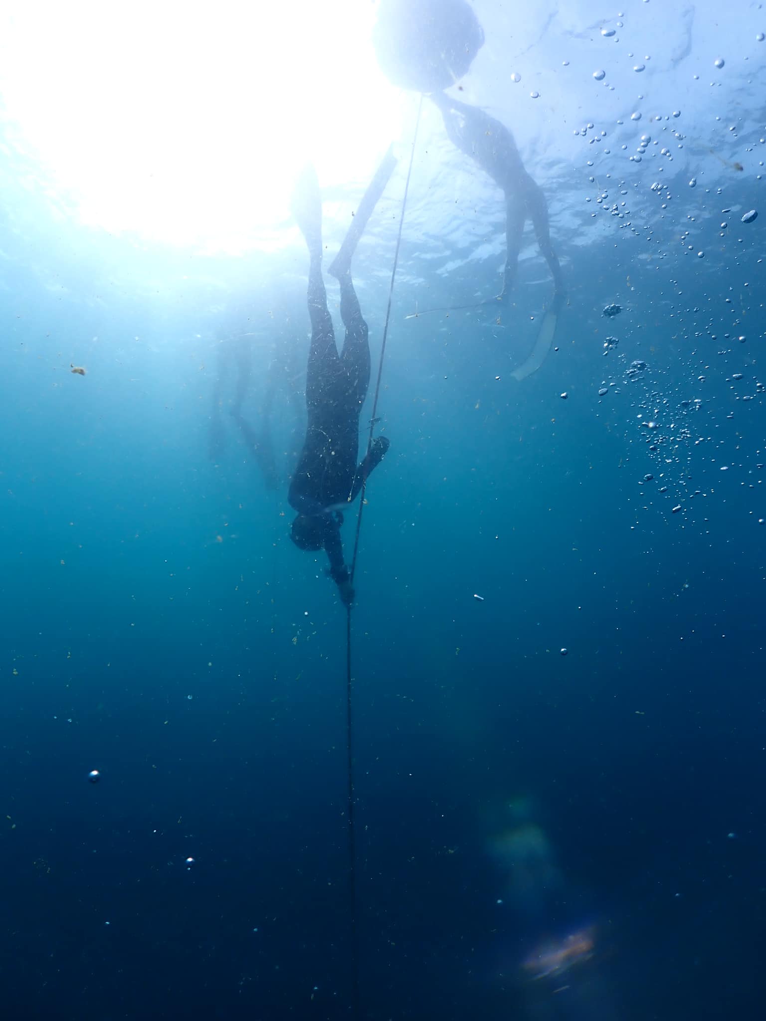 ฝึก Free immersion ทะเลแสมสาร