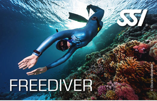 เรียนฟรีไดฟ์ คอร์ส Freediver หรือ ชื่อเดิม Freediving Level 1