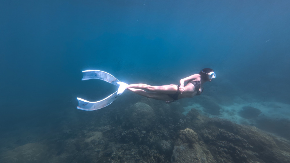 ออกสอบทะเล Freediver
